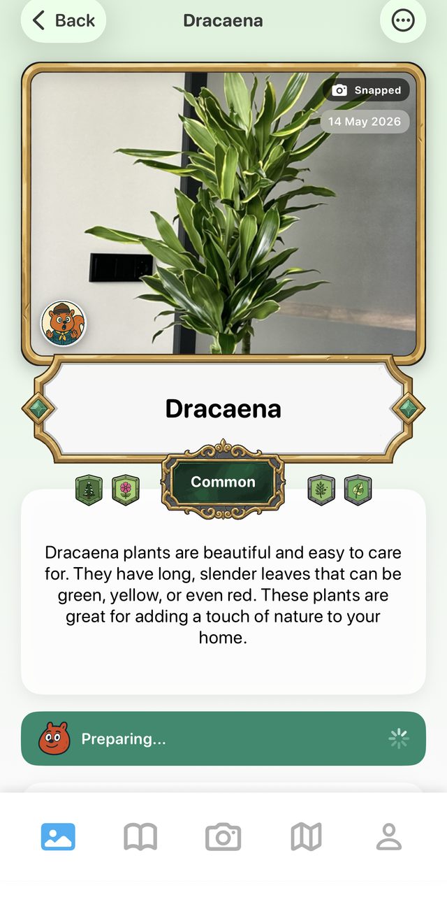 Snappit discovery card for a Dracaena plant with a kid-friendly description