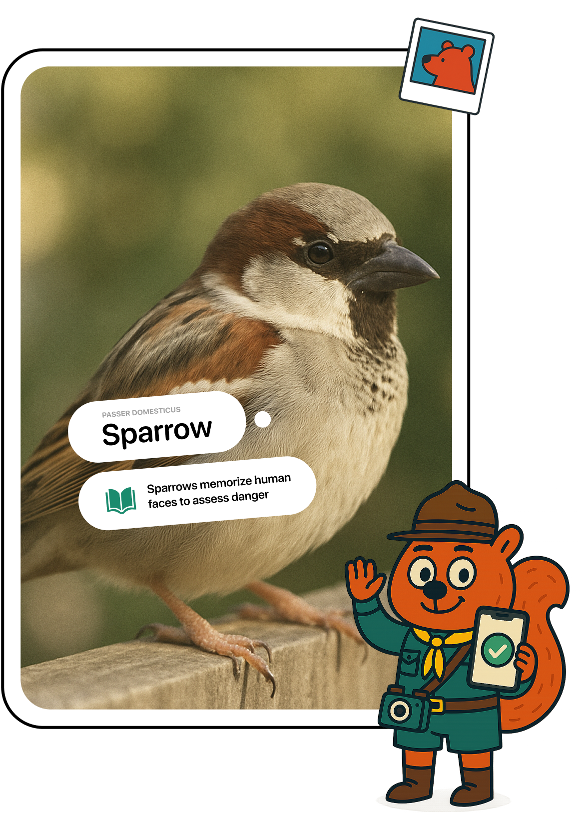 Identification experience