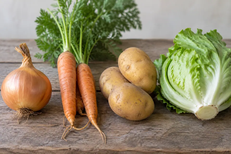Un bulbo di cipolla, carote con le radici, patate e un cespo di lattuga tagliato che mostrano diverse parti commestibili della pianta.