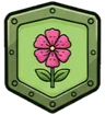 Distintivo della caratteristica: Ornamentale